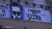 Vittime dei branchi