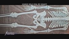 Viaggio nelle ossa dei giganti