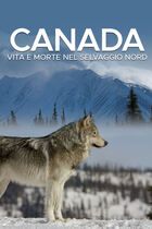 Canada - Vita e morte nel selvaggio nord