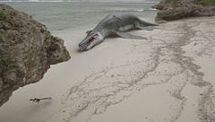 Ep. 2 - Il mistero dei draghi piumati