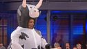 Le domande dello sponsor: la mucca