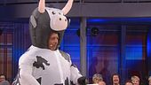 Le domande dello sponsor: la mucca