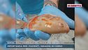 Oscar, il pesce dei bimbi dell'ospedale di Rimini