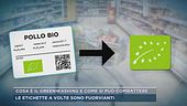 Cosa è il greenwashing e come si può combattere
