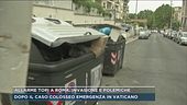 Allarme topi a Roma, invasione e polemiche