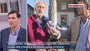 Topi a Roma, invasione nella zona del Vaticano