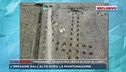 Trevignano, spunta una croce di olivi al campo