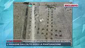 Trevignano, spunta una croce di olivi al campo