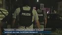 Terrorismo, arrestati due egiziani a Milano