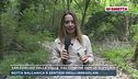 San Dorligo della Valle, dalla frontiera con la Slovenia