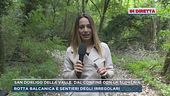 San Dorligo della Valle, dalla frontiera con la Slovenia