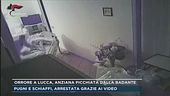 Orrore a Lucca, anziana picchiata dalla badante