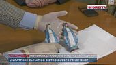 Trevignano, le Madonne piangono anche con noi