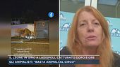 Gli animalisti: "Basta animali al circo"