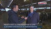 Caro latte, allarme produttori