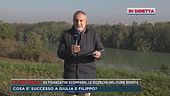 Ex fidanzatini scomparsi, le ricerche nel fiume Brenta