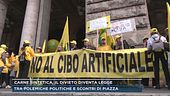 Carne sintetica, il divieto diventa legge
