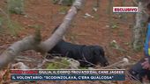 Giulia, il corpo trovato dal cane Jageer