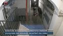 Banda del buco a Napoli, arrestate 9 persone