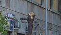Teresa, uccisa da un albero crollato a Roma