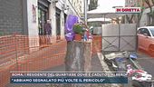 Roma, stava passeggiando ed è stata travolta da un albero
