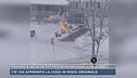 Freddo e neve in tutta Italia, in tanti a spalare