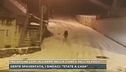 Invasione lupi, allarme nella conca dell'Alpago