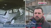 Tambre, parla un allevatore vittima dei lupi