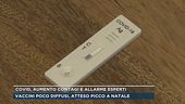 Covid, aumento contagi e allarme esperti