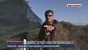 Trevignano, un telo verde per coprire Gisella