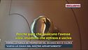 Pierina, le parole dei proprietari del secondo box di Valeria