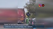 Roma, cassonetti pieni...o sugli alberi