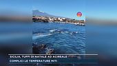 Sicilia, tuffi di Natale ad Acireale