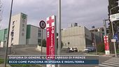 Disforia di genere, il caso Careggi di Firenze