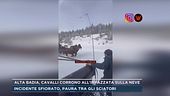 Alta Badia, cavalli corrono all'impazzata sulla neve