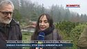 Mugello, ambientalisti contro il parco eolico