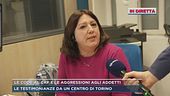 Fine del reddito cittadinanza, le code al Caf e le aggressioni agli addetti