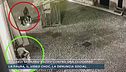 Ragazzi sparano razzo contro una clochard