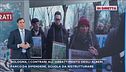 Bologna, in diretta dal parco degli alberi da abbattere