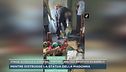 Strage Altavilla, il video del "pastore" Amatulli ripostato da Barreca