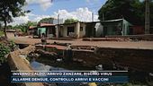 Allarme dengue, controllo arrivi e vaccini
