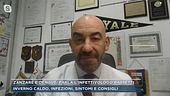 Zanzare e dengue, parla l'infettivologo Bassetti