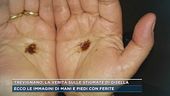 Trevignano, la verità sulle stigmate di Gisella