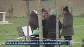 Trevignano, il vescovo boccia ufficialmente le apparizioni