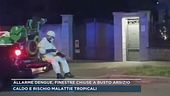 Allarme Dengue, finestre chiuse a Busto Arsizio