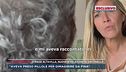 Strage Altavilla, nuove rivelazioni su Antonella