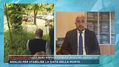 Liliana Resinovich, quali risposte dai nuovi rilievi nel boschetto?