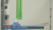 Liliana Resinovich, il suo corpo tenuto in una cella frigorifera?
