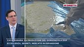 Cava Manara, la produzione del gorgonzola dop