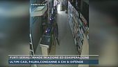 Furti seriali, bande in azione ed esasperazione